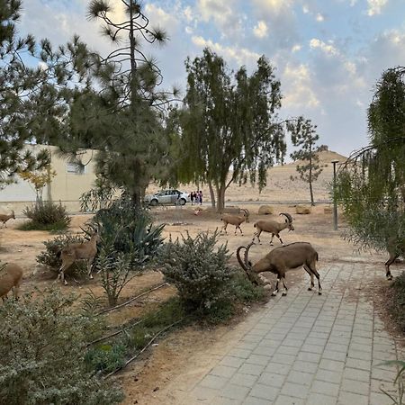 شقة הבית המדברי ميتزبي رامون المظهر الخارجي الصورة